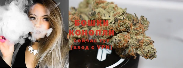 метадон Богданович