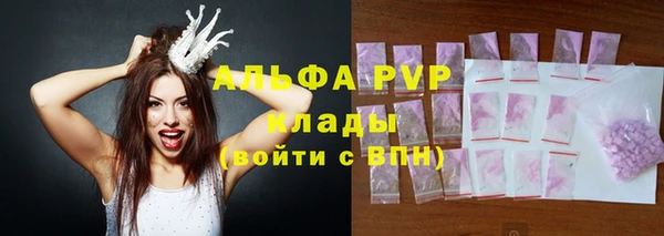 метадон Богданович