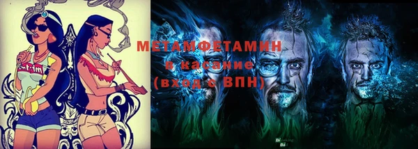 метадон Богданович
