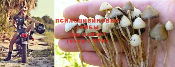 метадон Богданович