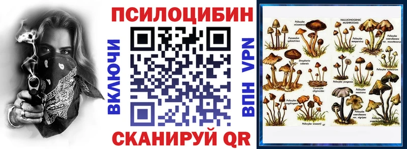 Купить где  Малоархангельск  Псилоцибиновые грибы прущие грибы 